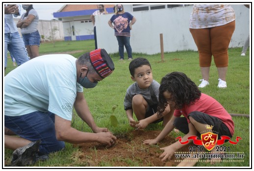 rolim de moura